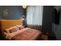 apartment-for-rent-in-tbilisi-small-3