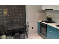 apartment-for-rent-in-vazha-pshavela-quarters-small-2