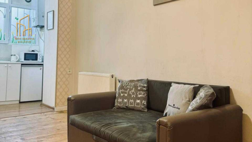 apartment-for-rent-in-mtatsminda-big-1