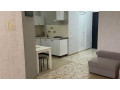 apartment-for-rent-in-didube-small-2